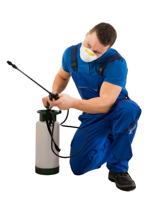 Pest Service Technician with spray and bottle
